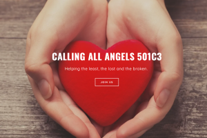 organizationalAlliesCallingAllAngels organizationalAlliesCallingAllAngels
